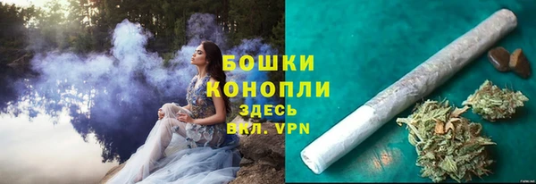 альфа пвп Медвежьегорск