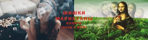 альфа пвп Медвежьегорск