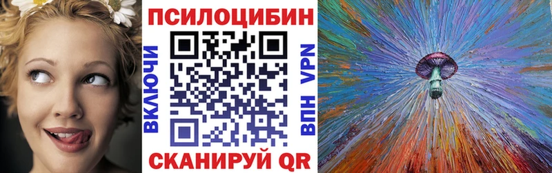 мега ТОР  Кочубеевское  Псилоцибиновые грибы прущие грибы 